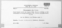 Image Associated With the Occurence